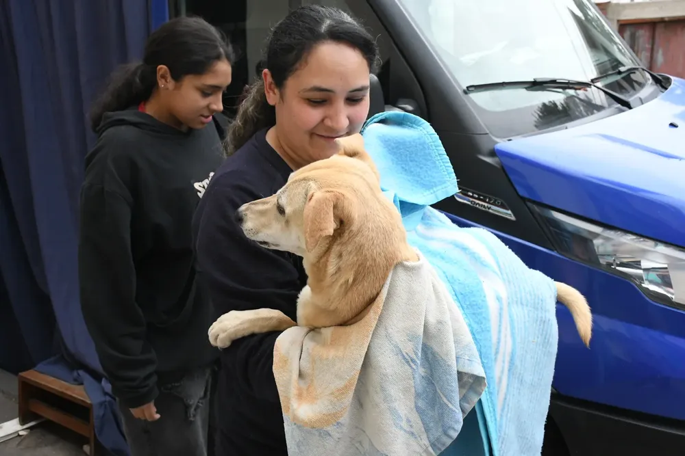 movil-castracion-sargento-cabral-8-1536x1024