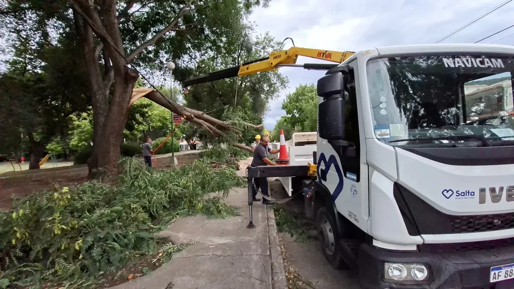 img-20260103-wa0335-1536x865