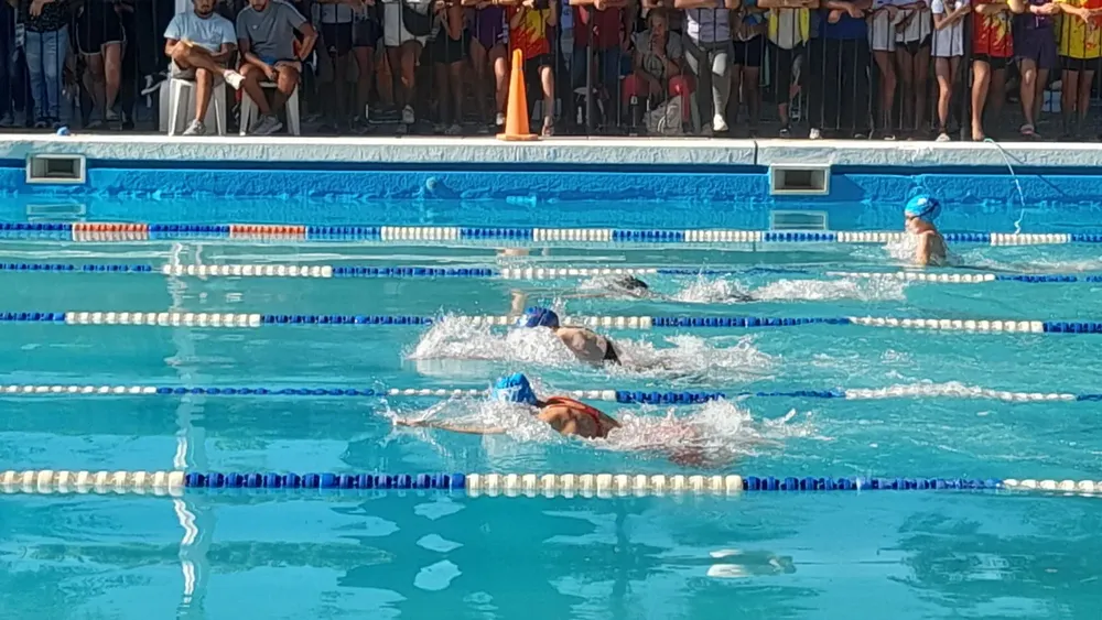 b8fae6ce-090a-4c56-80eb-e9ed9f92ed58