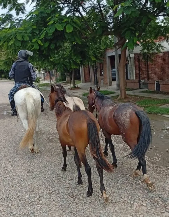 WhatsApp-Image-2025-12-02-at-21.24.56