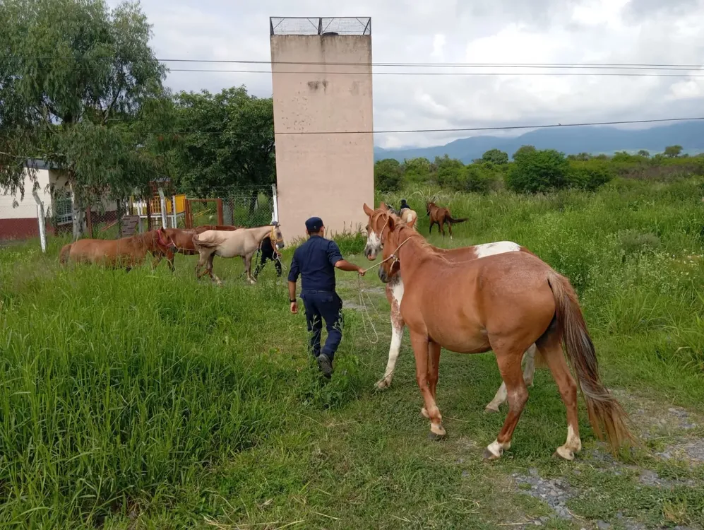 WhatsApp-Image-2026-01-24-at-18.42.15-1536x1156