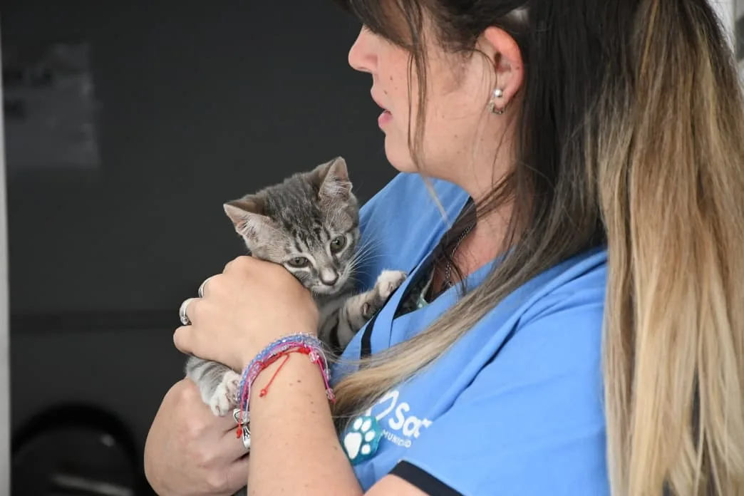 atencion-hospital-animal-1