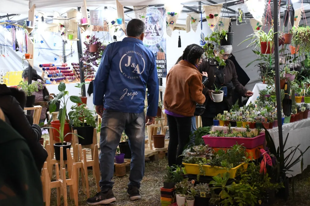 Internet_20250413_221314_7