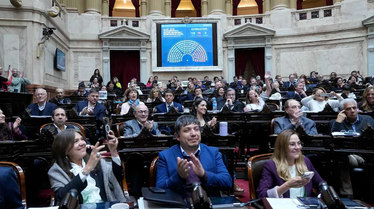 promulgaron-las-leyes-de-financiamiento-universitario-y-emergencia-pediatrica-pero-postergaron-su-ejecucion-foto-prensa-diputados-6Y2JHRCKUBFBHNPHGY3KHUN6GI