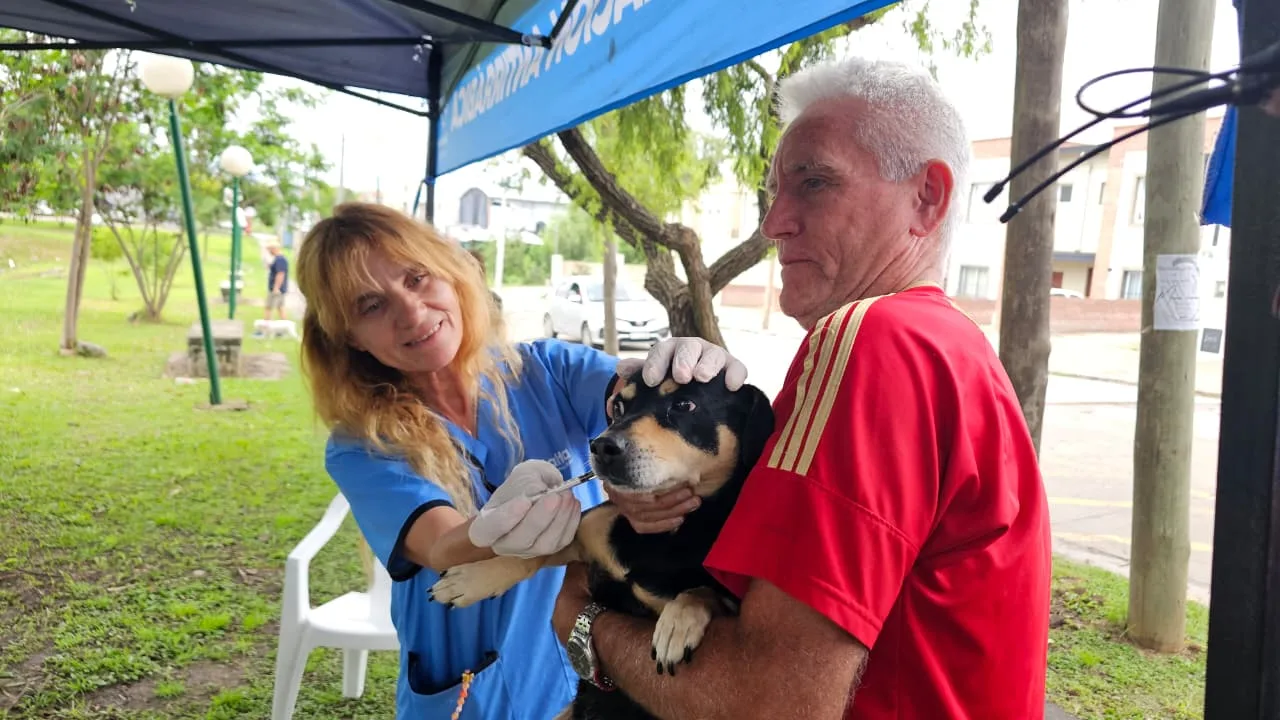 vacunacion-antirrabica-4