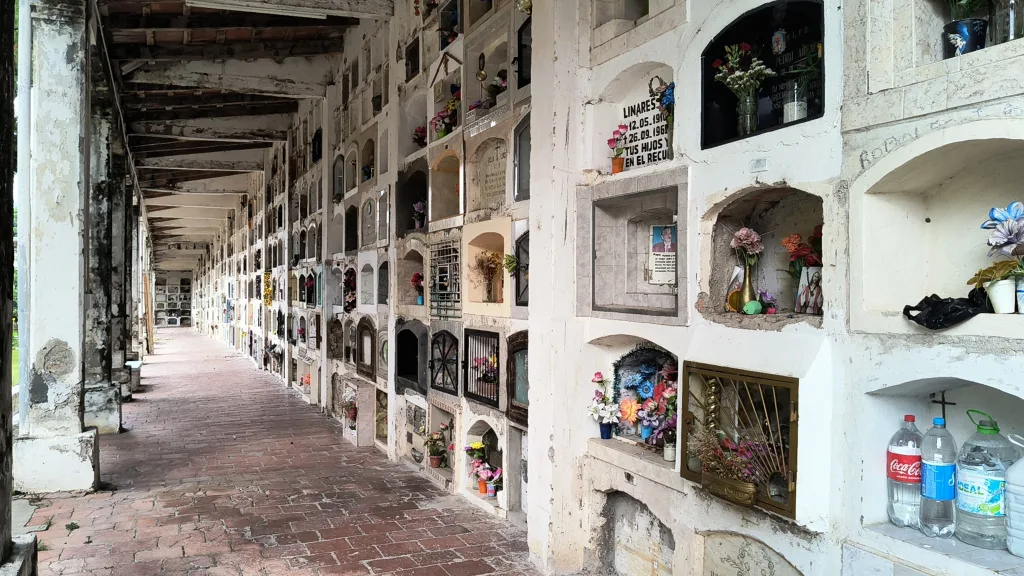 Internet_20250307_011644_4