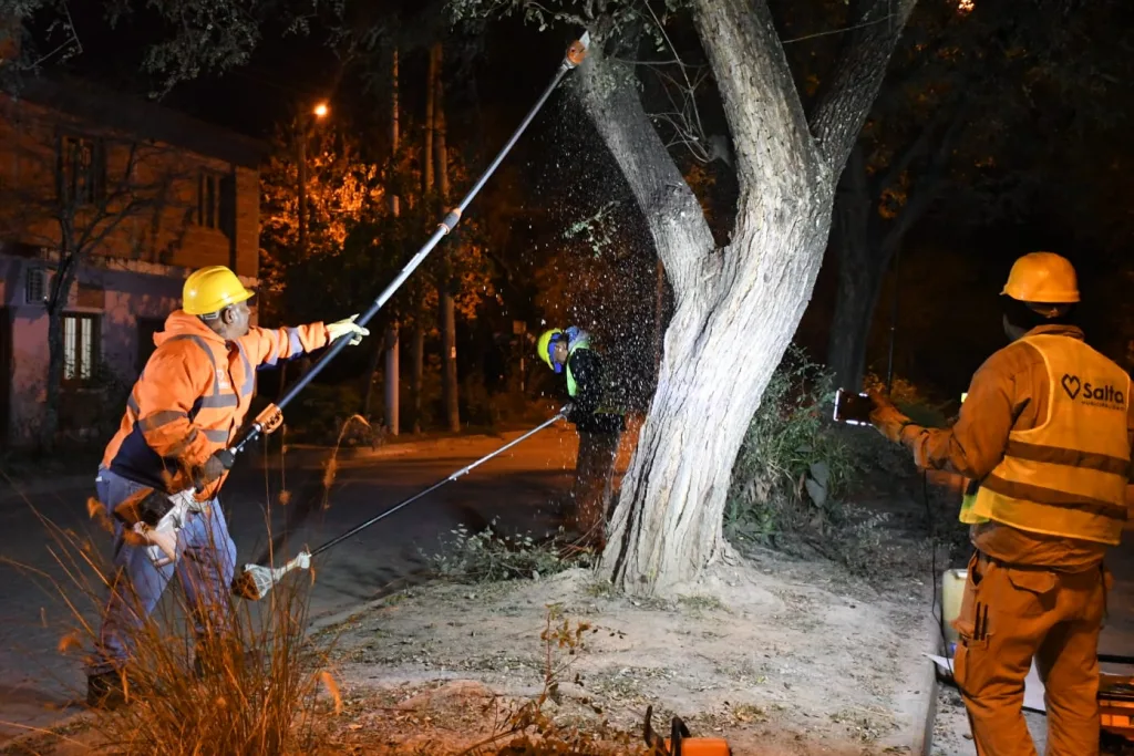 poda-nocturna-en-finca-valdivia-4-1024x683