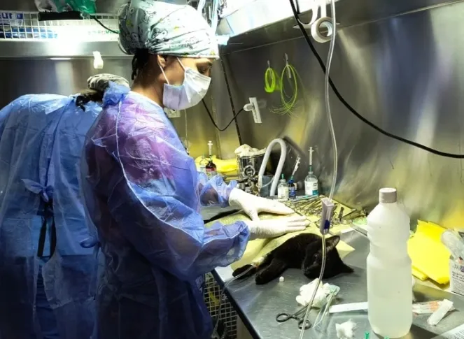 Screenshot_20250717_121229_Samsung Internet