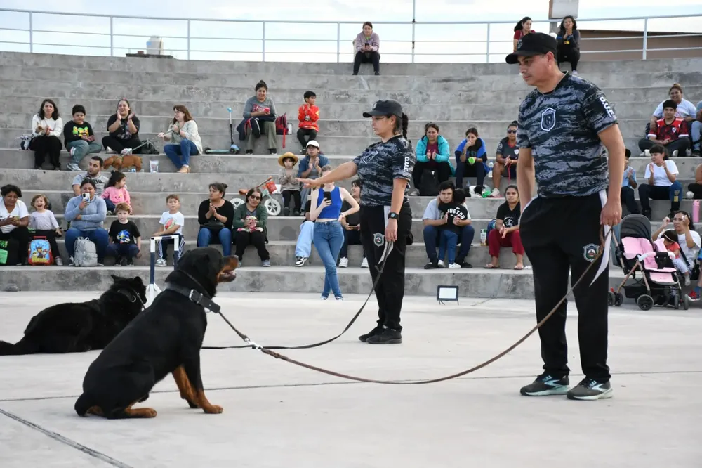 jornada-animal-de-adopciones-4-1536x1023