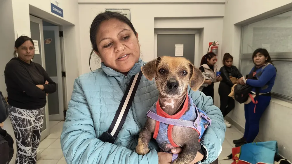 hospital-de-salud-animal-17-jpg (1)