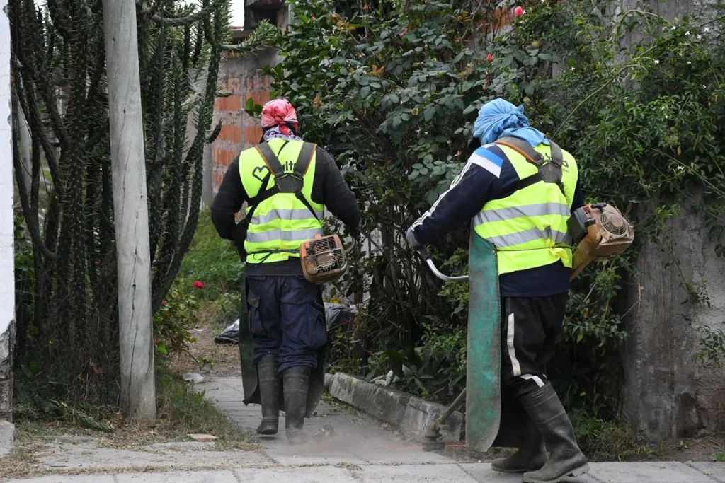 limpieza-santa-ana-3-1024x683