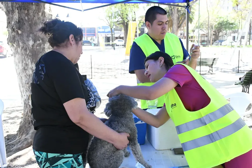 vacunacion-antirrabica-plaza-alvarado-5-1536x1024