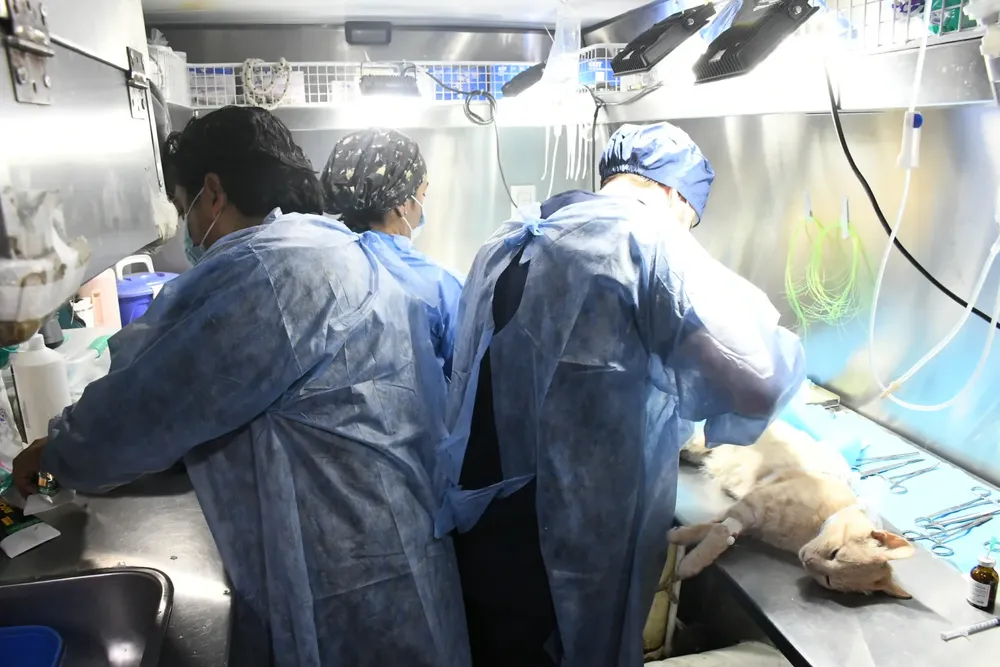 movil-de-castracion-sargento-cabral-4-1536x1024