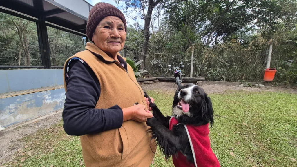 perro-encontrado-1-1024x576