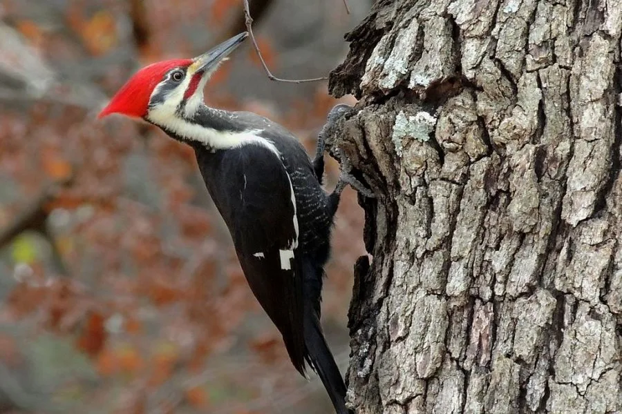 Internet_20250505_191706_1