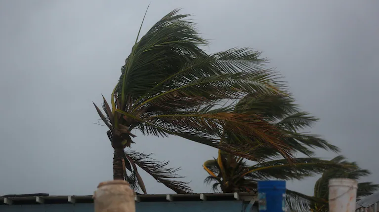 https___thumbs.vodgc.net_1-14-2MukkB1761571156623-1761571924