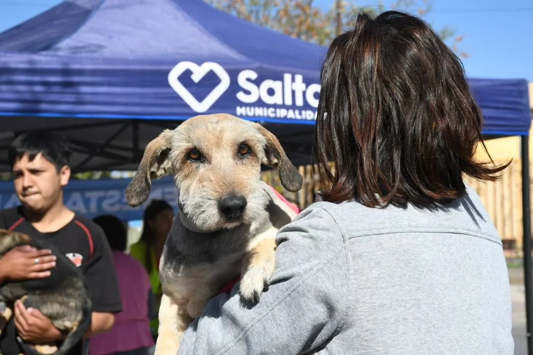 vacunacion-antirrabica-en-miguel-ortiz-3