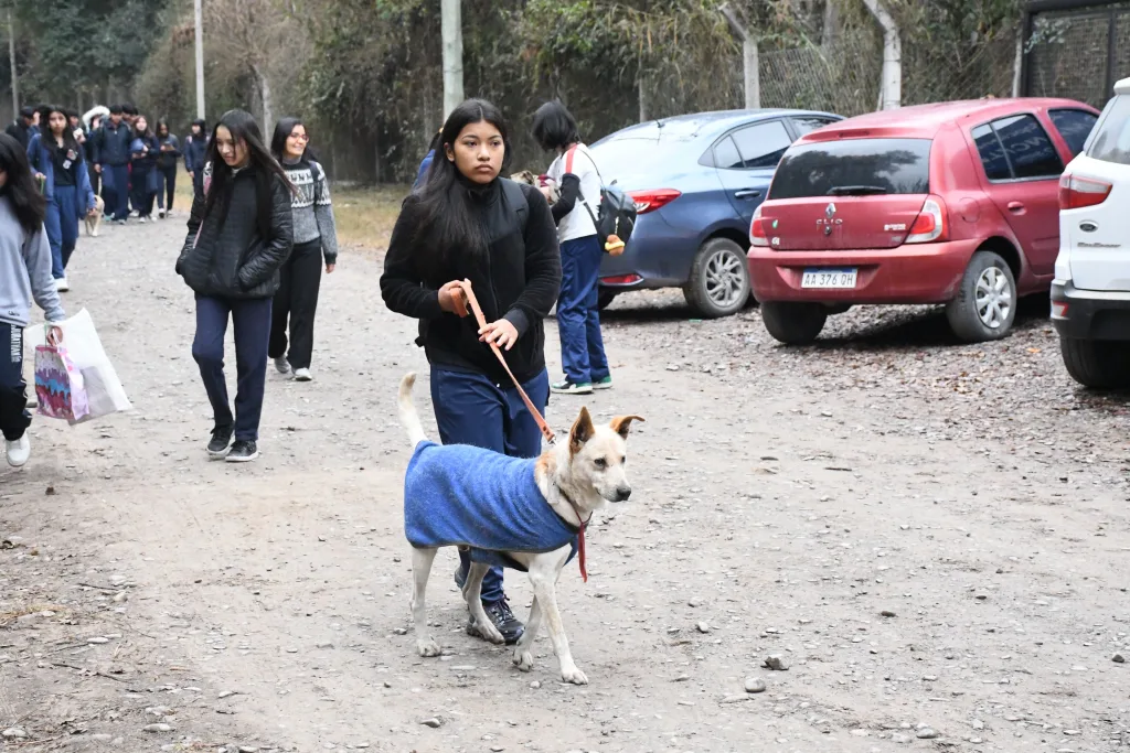 jornada-de-adopcion-24-1024x683