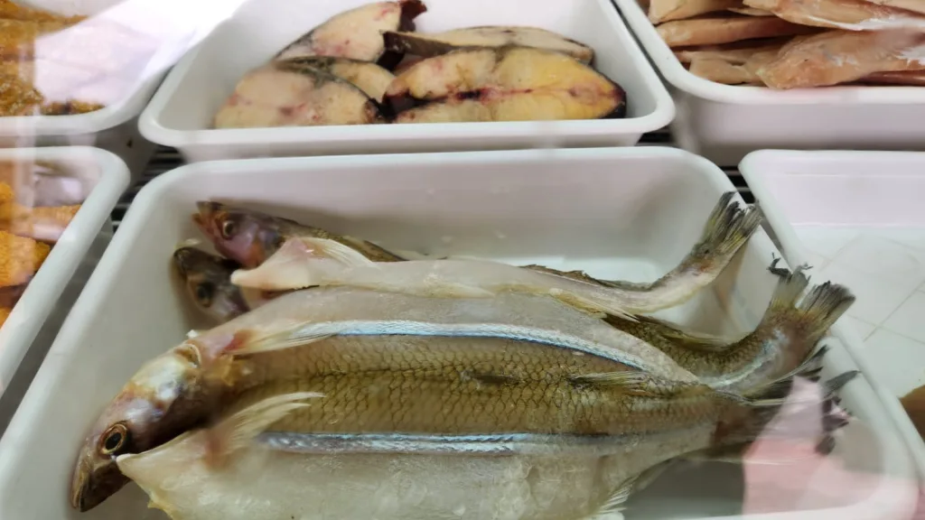 carne-5-1024x576