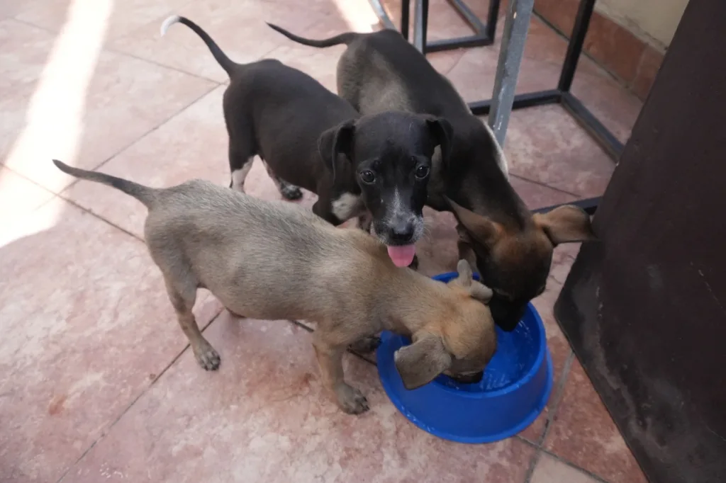 Internet_20250430_114255_3