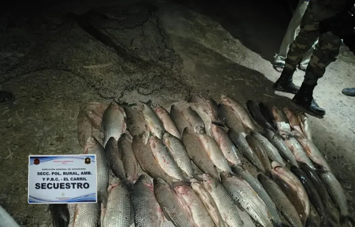 image-2026-01-29T212955.288