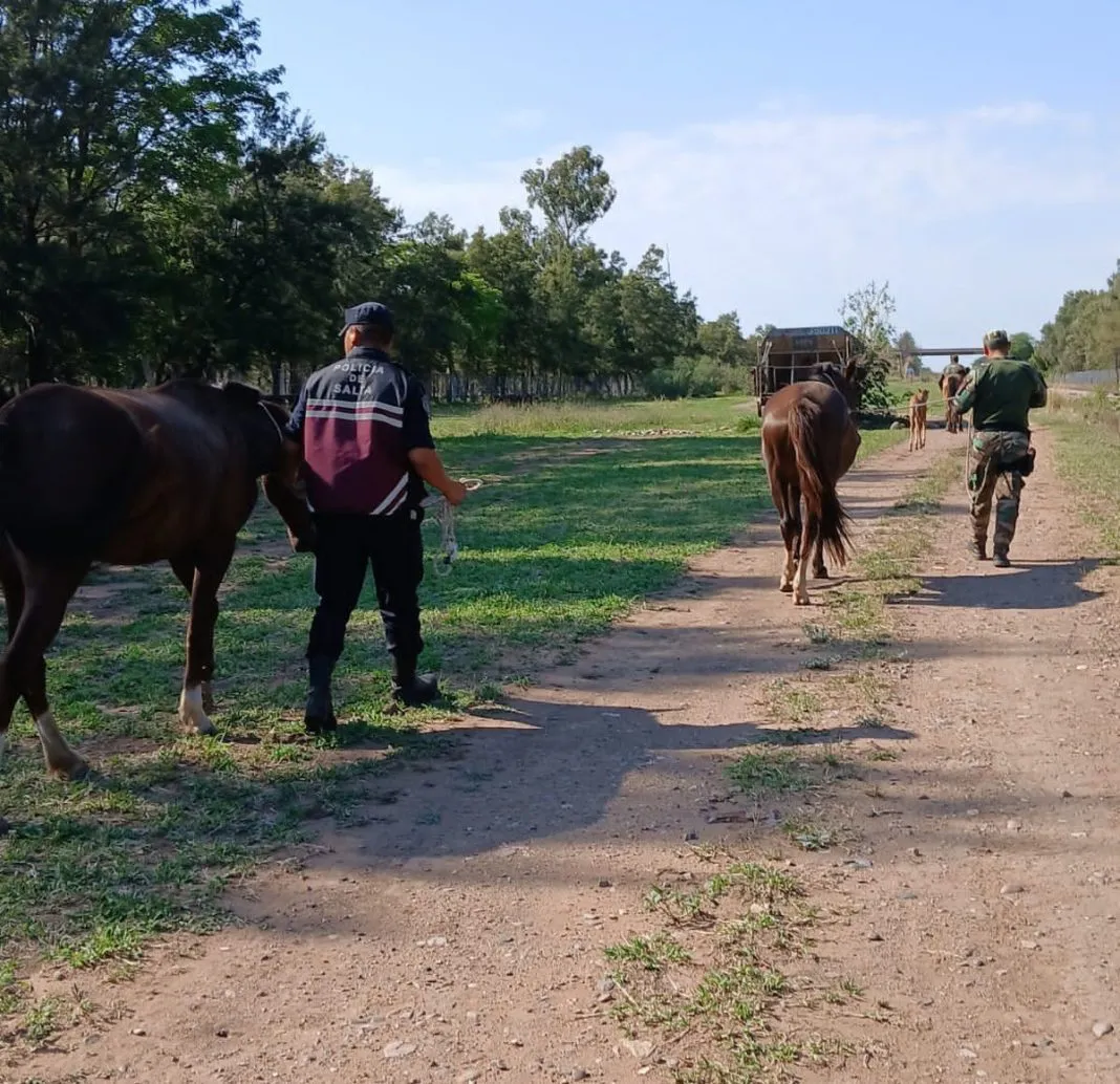 WhatsApp-Image-2025-10-22-at-19.59.51-1068x1034