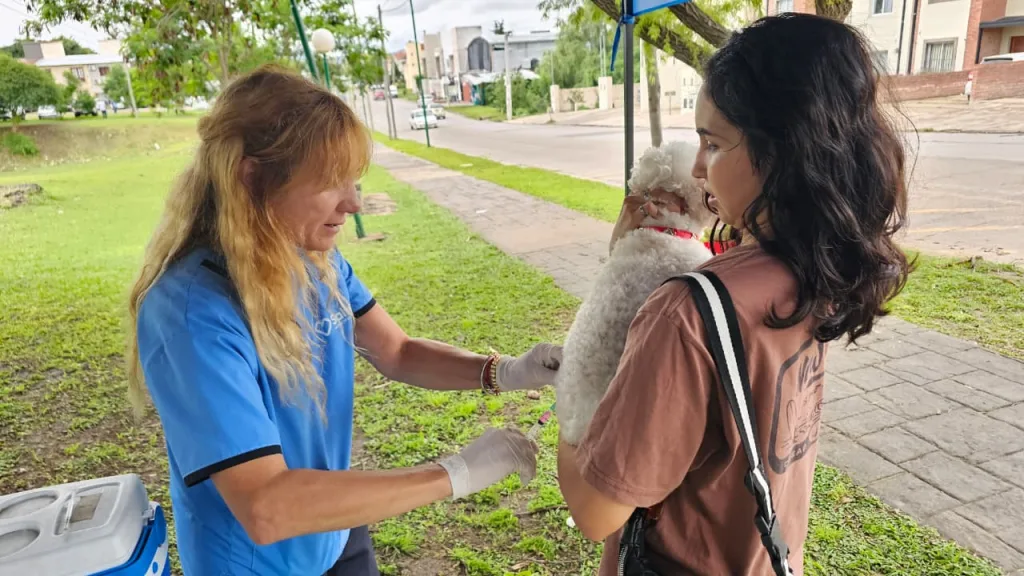 vacunacion-antirrabica-5-1024x576