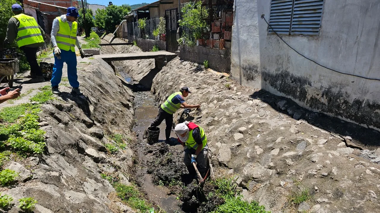limpieza-canal-tineo-5