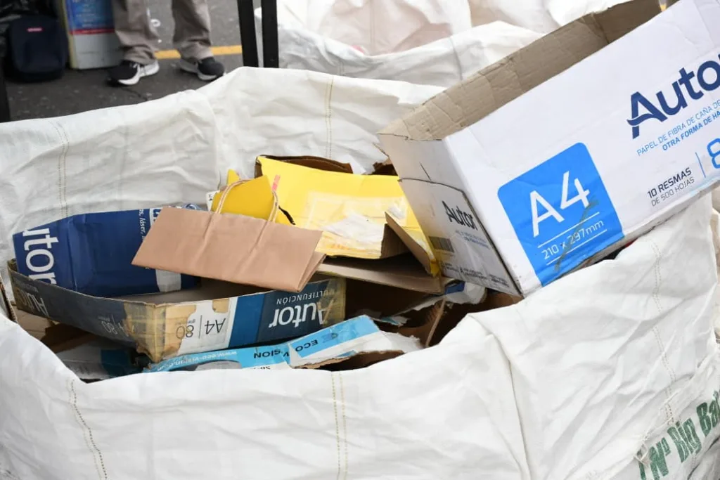 quinto-reciclaton-5-1024x683