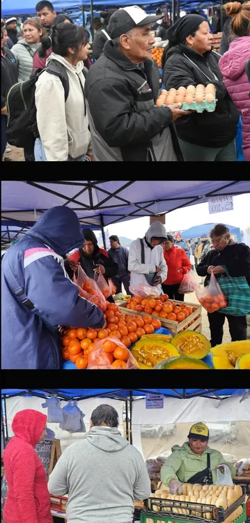 Screenshot_20251107_123451_Samsung Internet