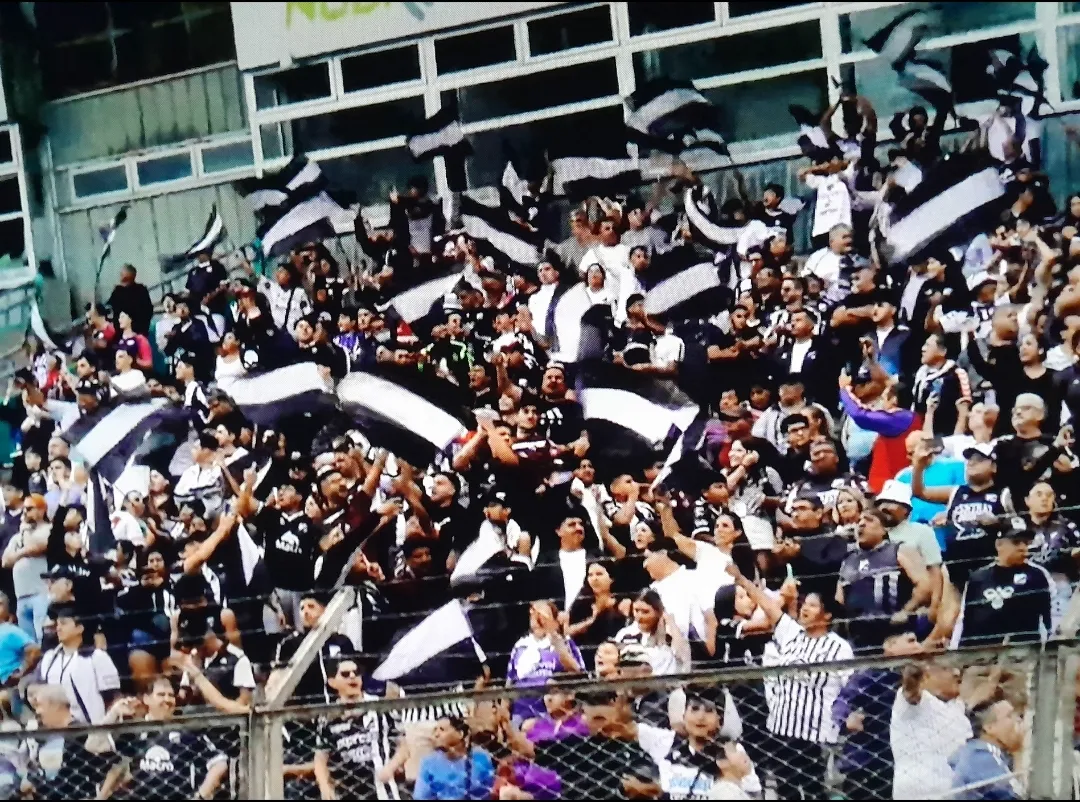 Screenshot_20260201_204711_Gallery