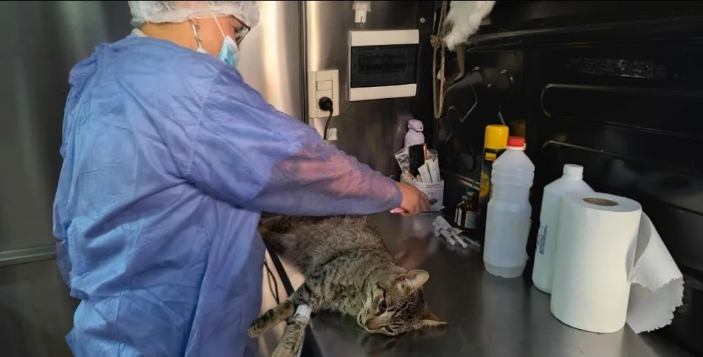 Screenshot_20260311_160816_Samsung Internet