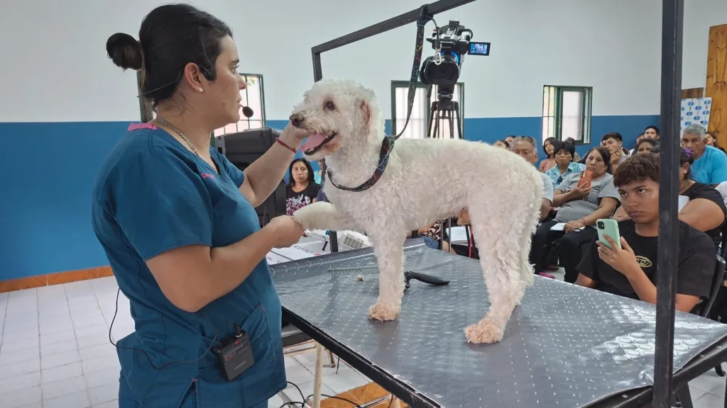 peluqueria-canina-3-1024x576