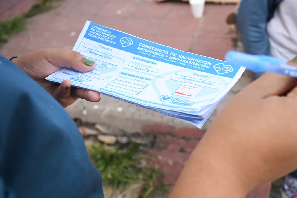 Internet_20250430_201237_2