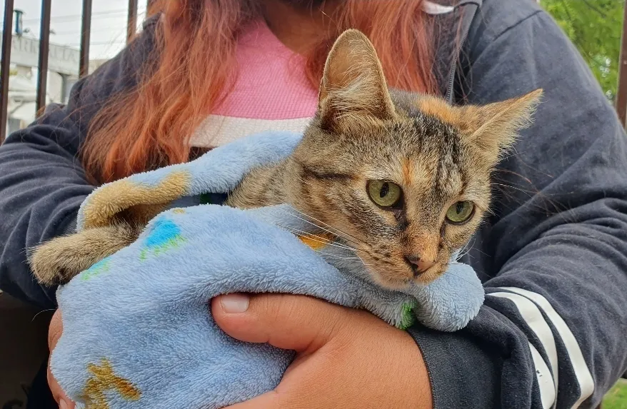 Screenshot_20260213_193302_Gallery