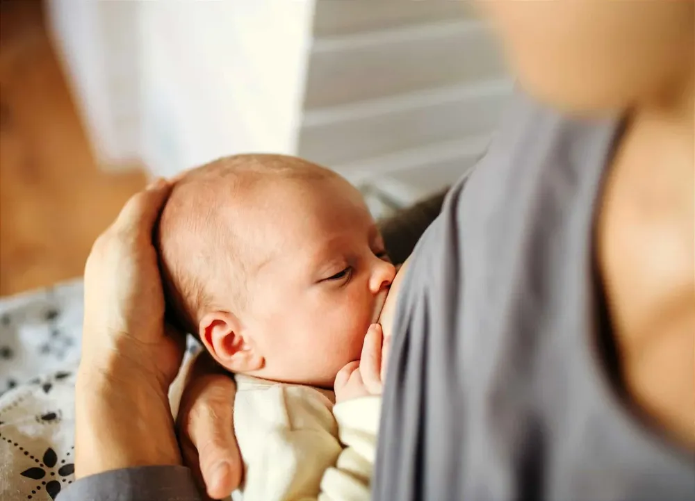 lactancia1-1536x1107