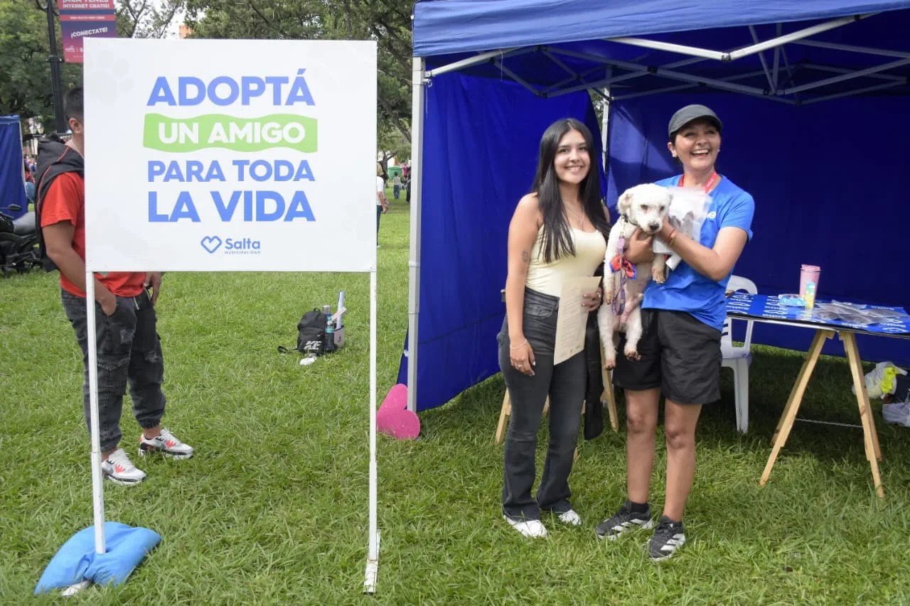 adopciones-nb-medio-maraton-perros-6