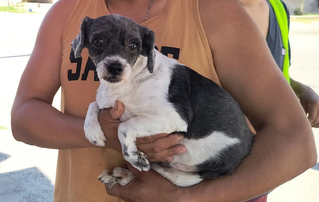 Internet_20250207_145416_1