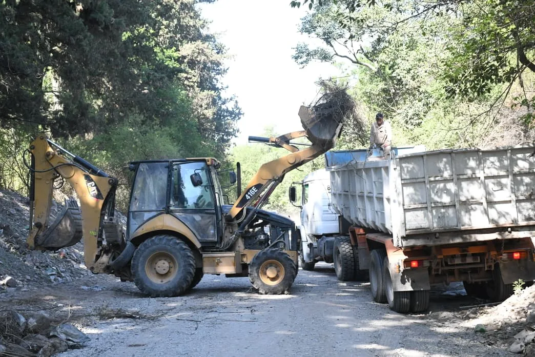 limpieza-av-gato-y-mancha-3