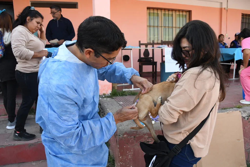 Internet_20250430_201237_1