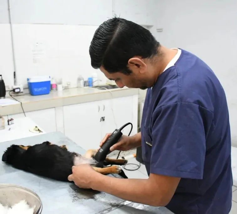 castracion-9-1024x683