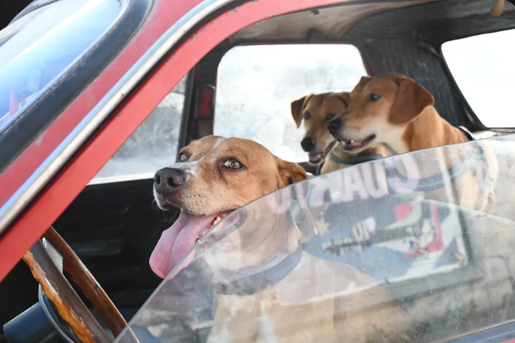 Internet_20250430_201237_3