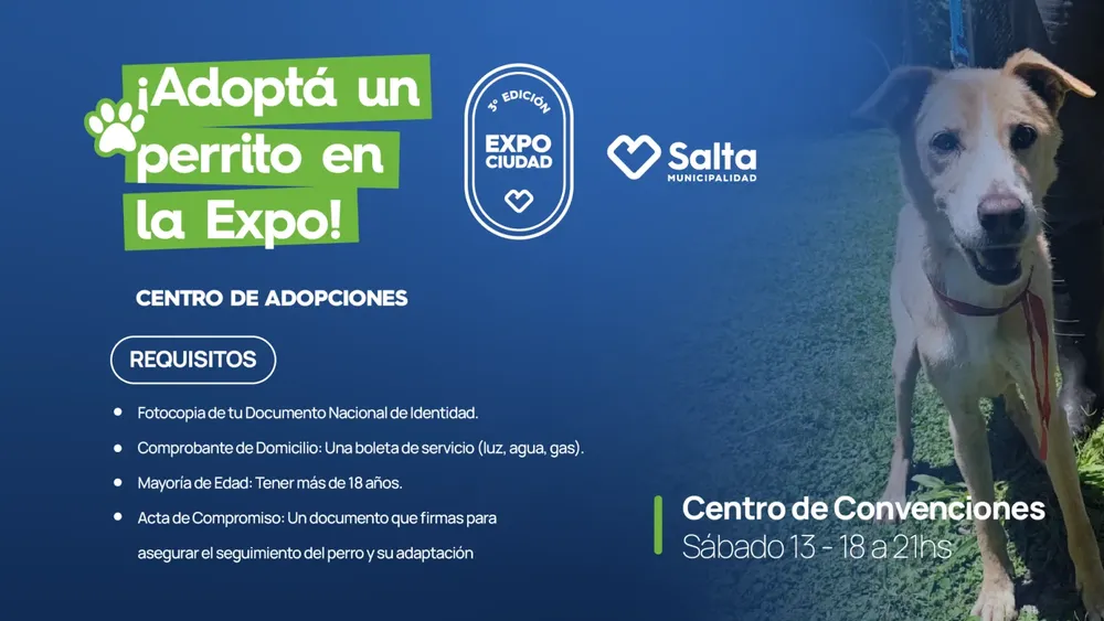 adopta-web-1536x864