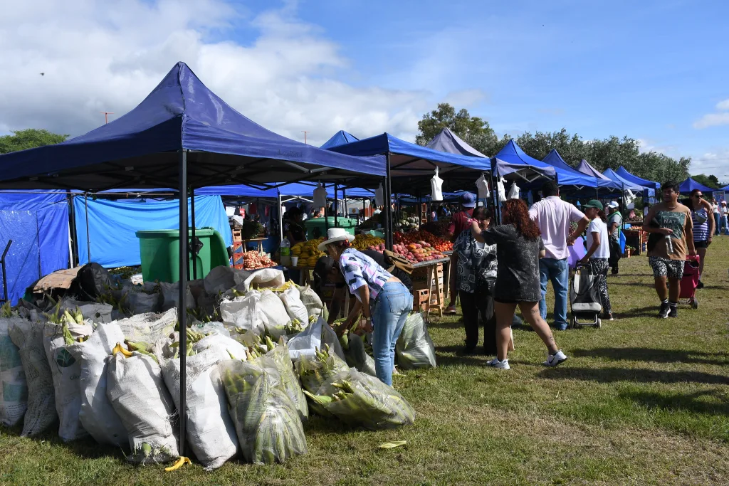 Internet_20250319_215552_1