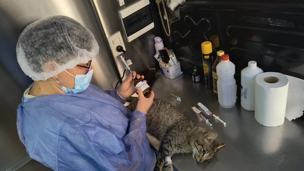 Internet_20250130_100045_1