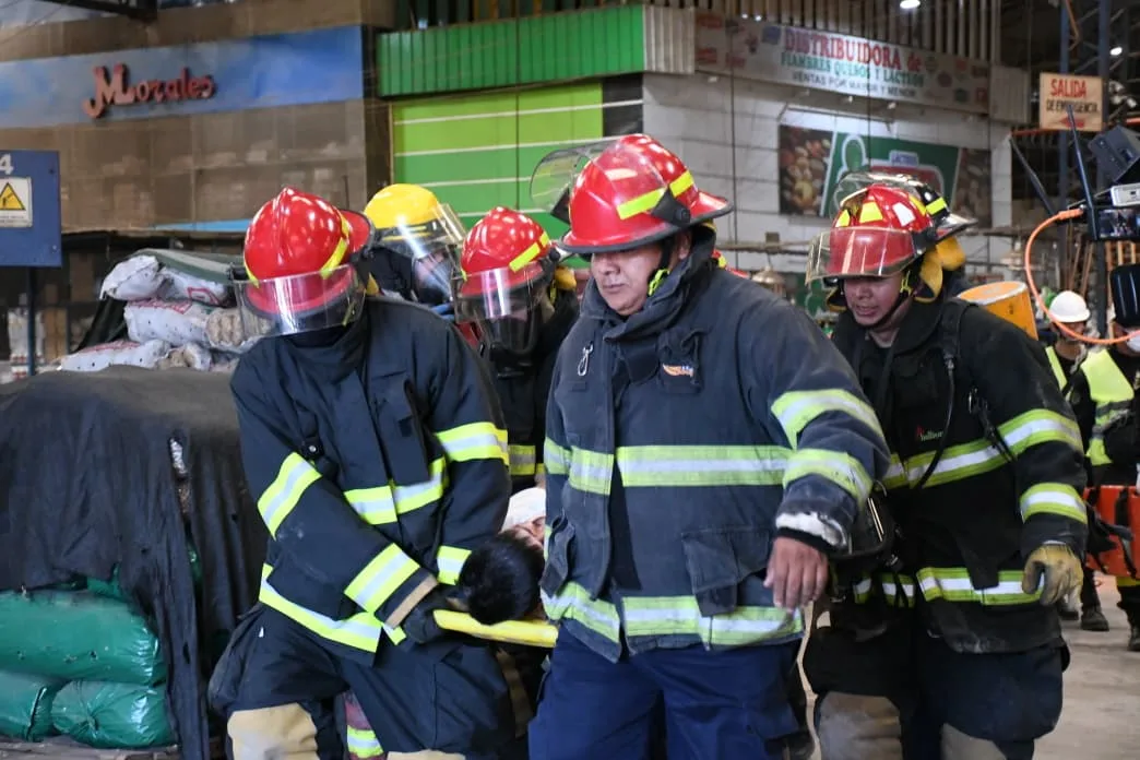 simulacro-cofruthos-7