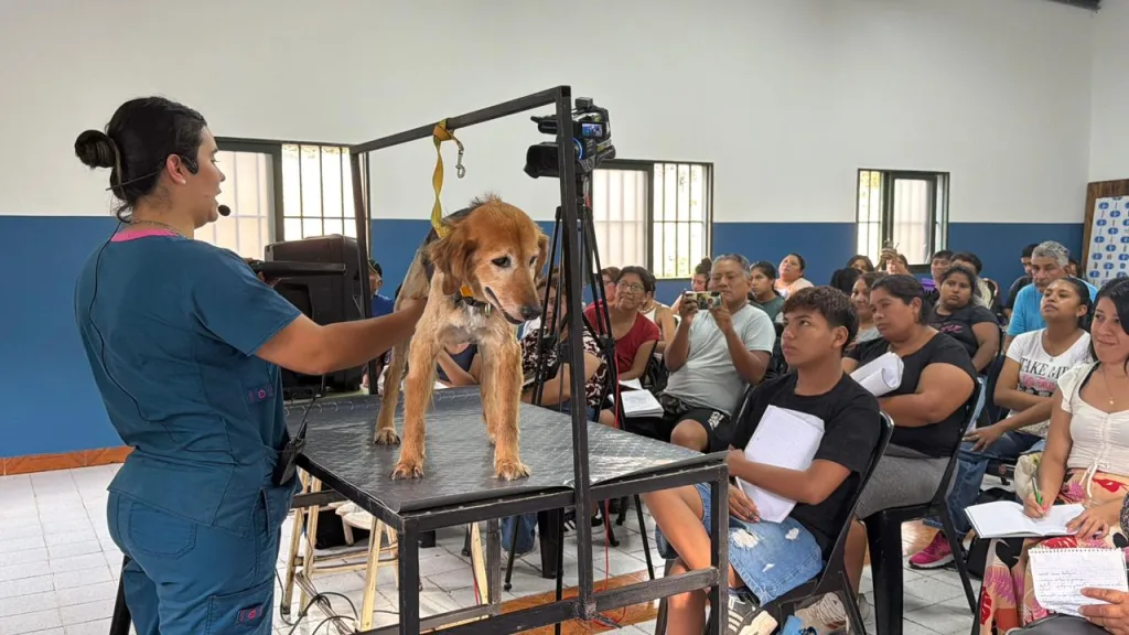 peluqueria-canina-5-1024x576