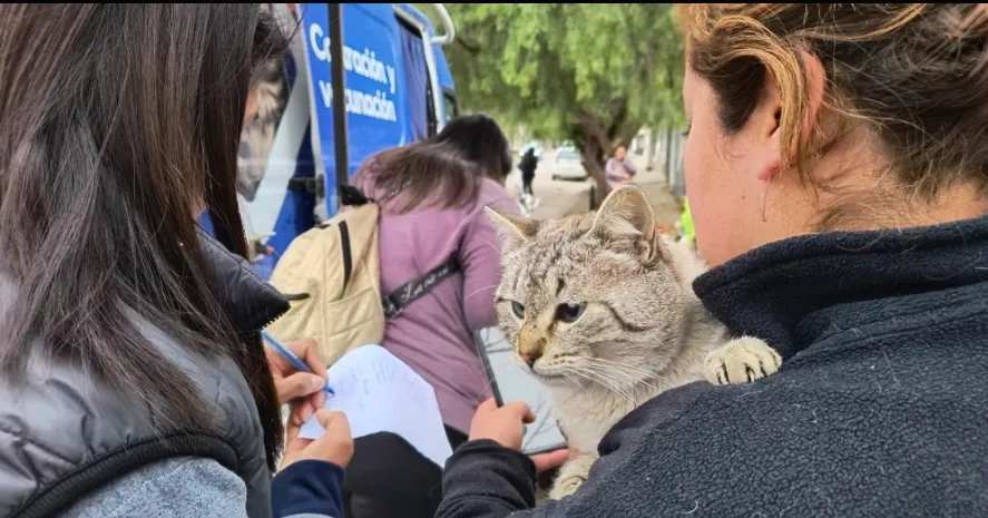 Screenshot_20250821_210244_Samsung Internet