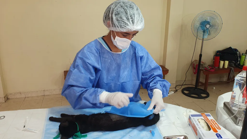 Internet_20250220_142128_1