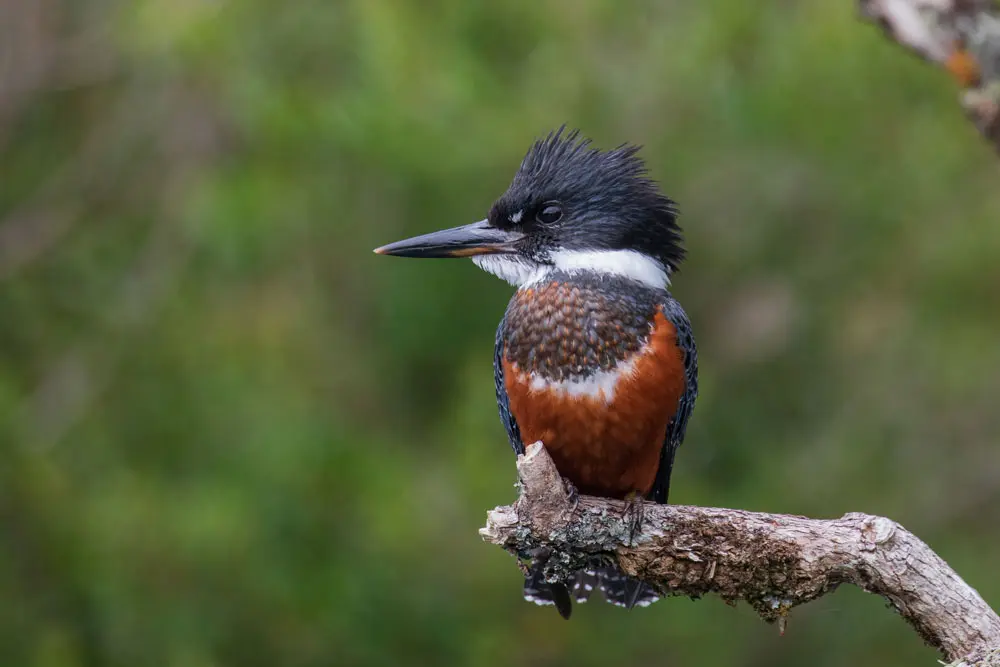 Internet_20250505_191706_2